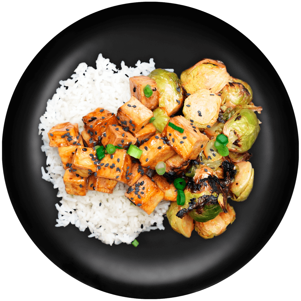 Vegan-Teriyaki-Tofu.png